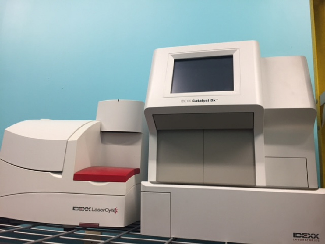 Used Idexx Catalyst dx and for sale in USA Kitmondo